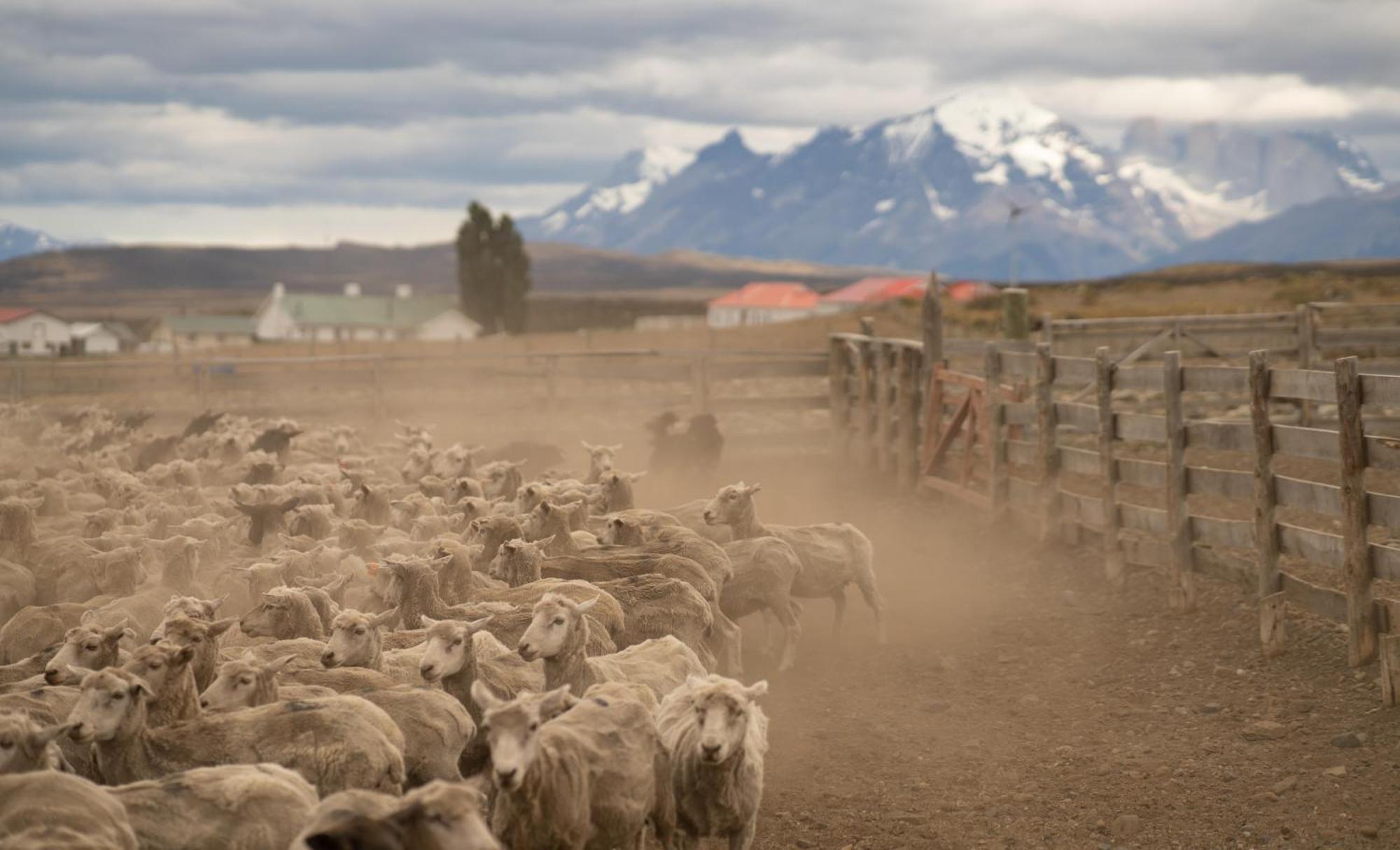 Estancia Cerro Guido Torres del Paine National Park Exterior foto