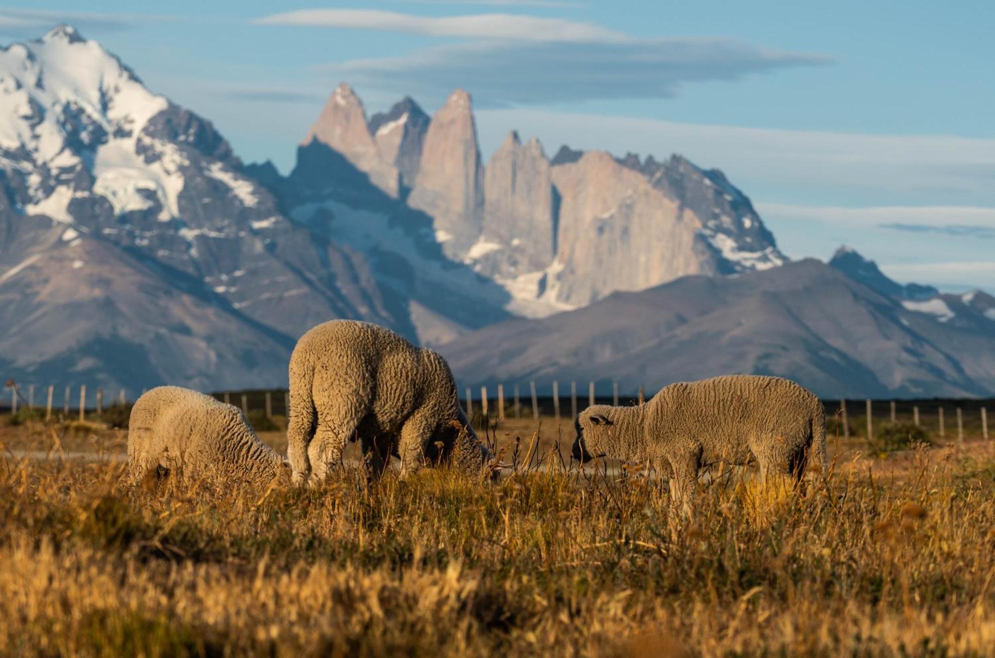 Estancia Cerro Guido Torres del Paine National Park Exterior foto