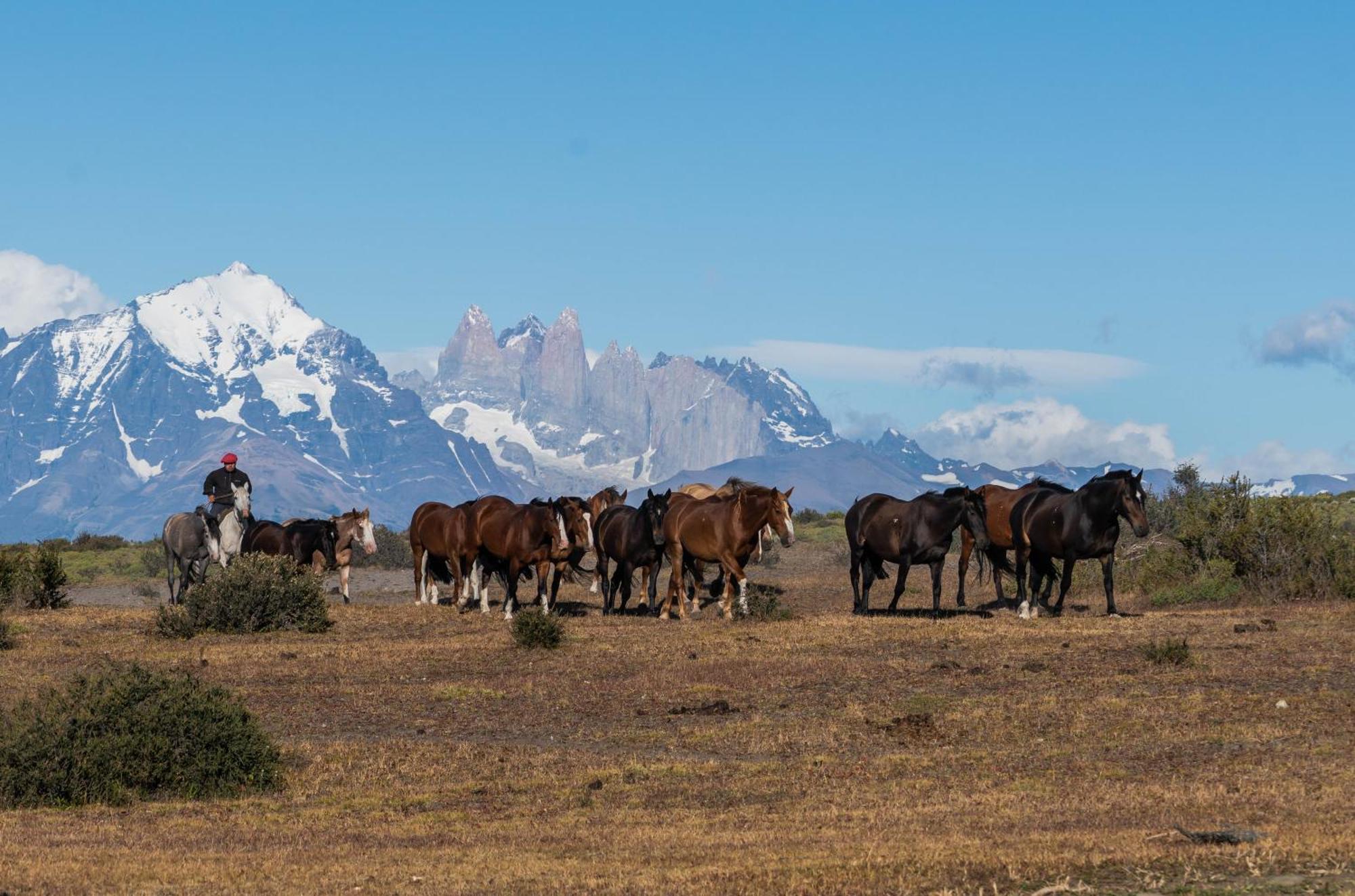 Estancia Cerro Guido Torres del Paine National Park Exterior foto